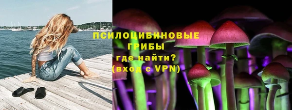 apvp Баксан