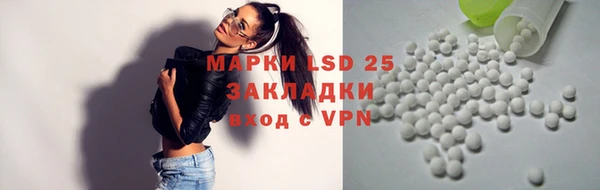 индика Гвардейск