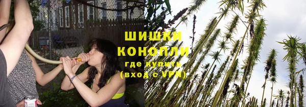 ПСИЛОЦИБИНОВЫЕ ГРИБЫ Гатчина