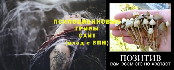 2c-b Аркадак