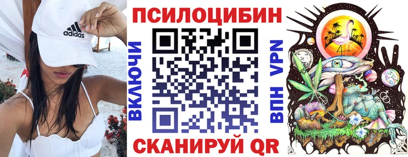 наркошоп  Коряжма  Псилоцибиновые грибы Cubensis 