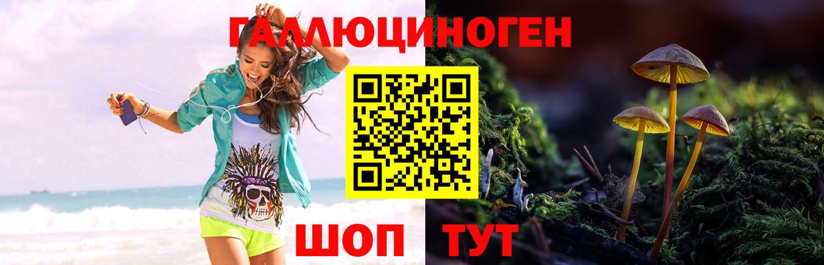 Галлюциногенные грибы мухоморы Коряжма