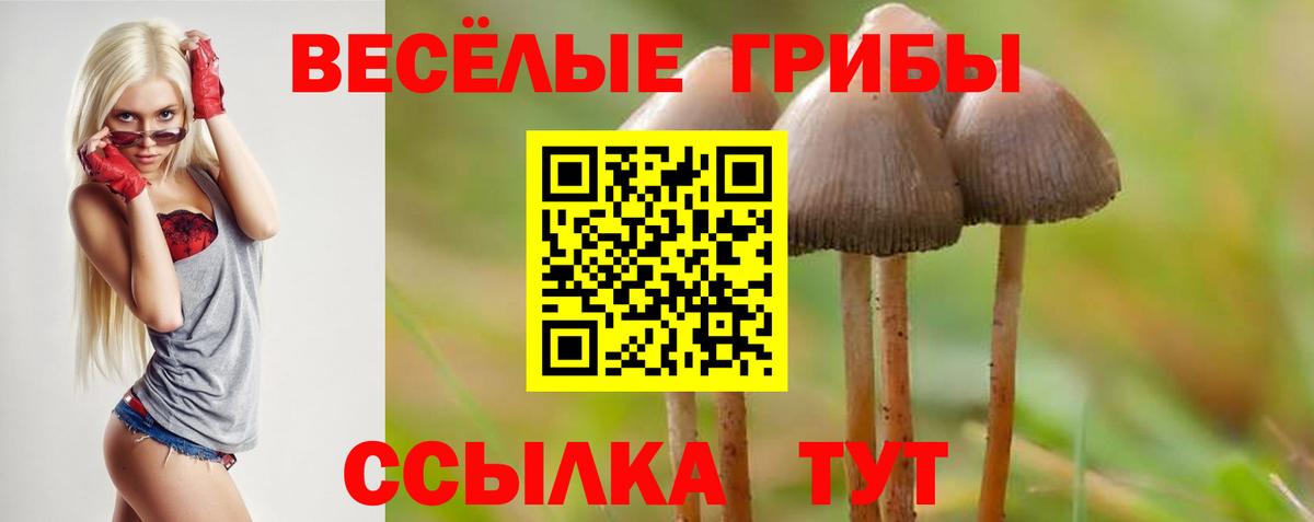 Галлюциногенные грибы Cubensis  Вход с VPN  сколько стоит  Коряжма 